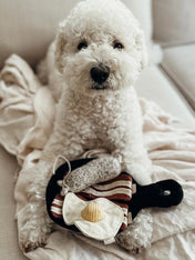 Lambwolf-Collective-jouet-design-minimalist-pour-chien-breakfast