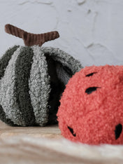        Lambwolf-Collective-jouet-design-minimalist-pour-chien-pasteque