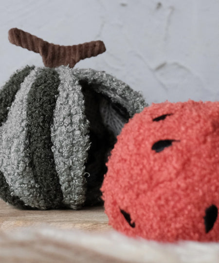        Lambwolf-Collective-jouet-design-minimalist-pour-chien-pasteque