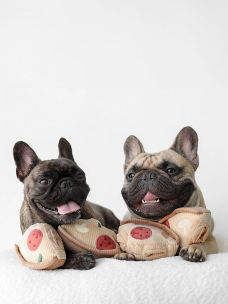 Jeu d'occupation pour chien - Pizza - Lambwolf Collective - inooko