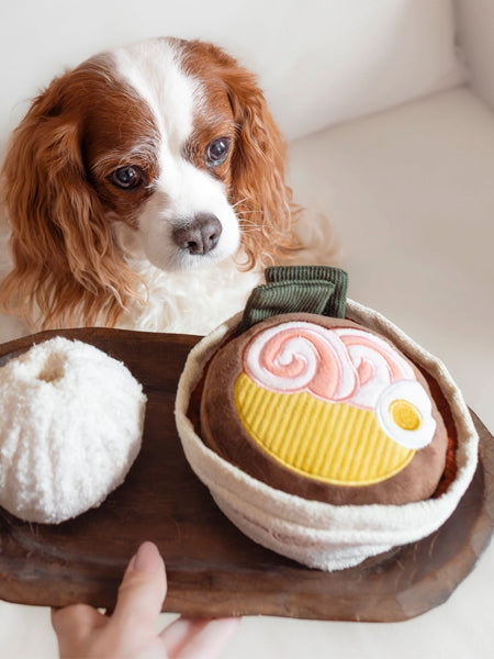 Lambwolf-Collective-jouet-design-minimalist-pour-chien-ramen