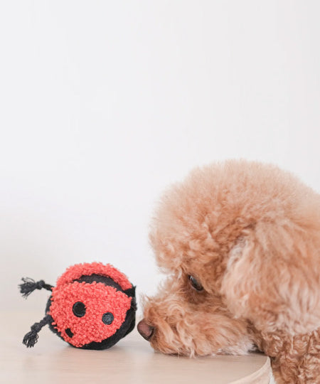        Lambwolf-Collective-jouet-design-minimalist-pour-chien-coccinnelle-fouille-balle