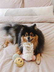 Lambwolf-Collective-peluche-chien-interactive-design-Roller-Skate