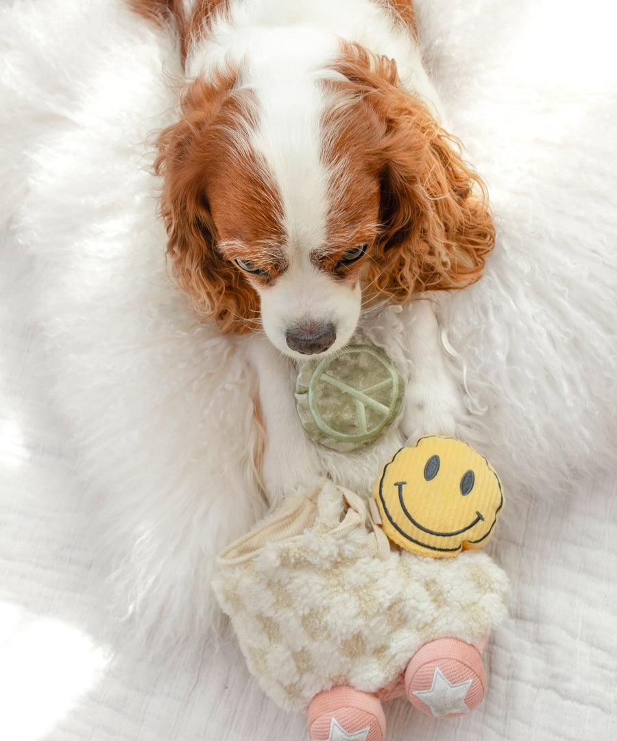 Lambwolf-Collective-peluche-chien-interactive-design-Roller-Skate