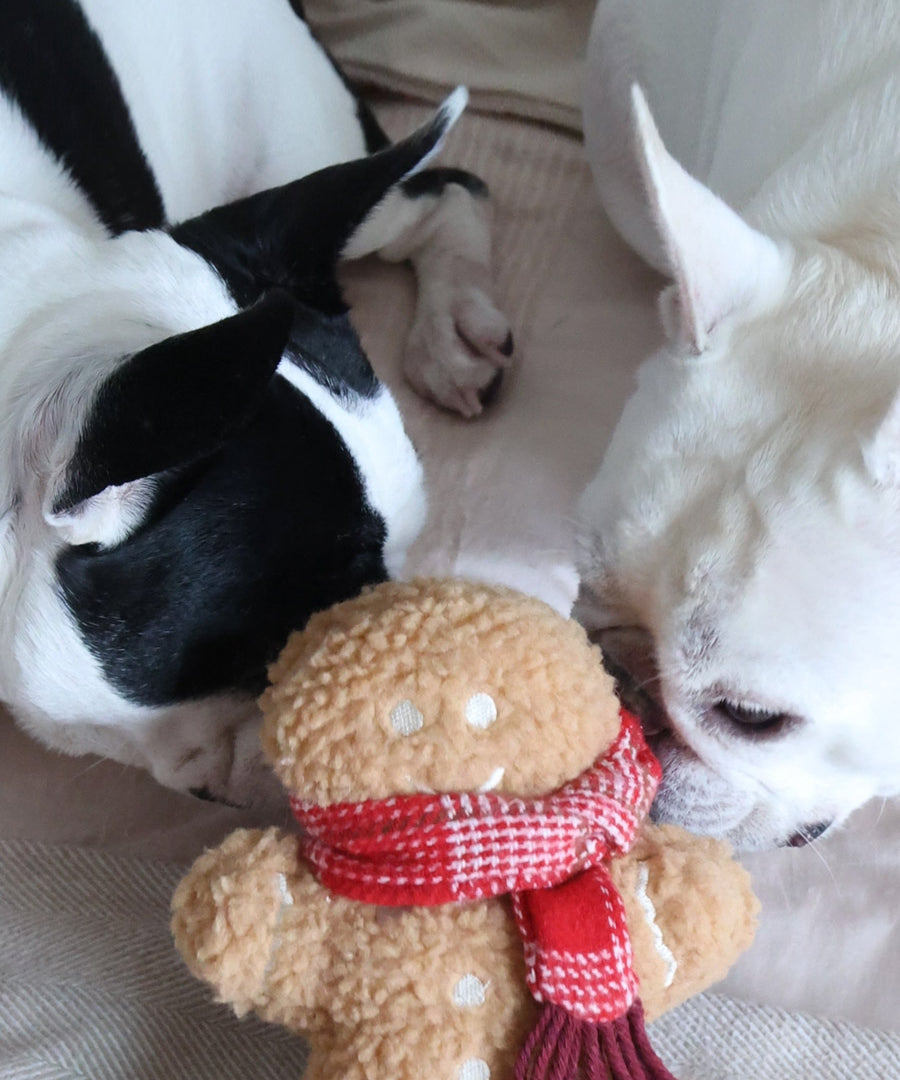 Lambwolf-Collective-peluche-chien-interactive-design-pain-epice