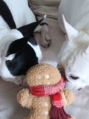 Lambwolf-Collective-peluche-chien-interactive-design-pain-epice
