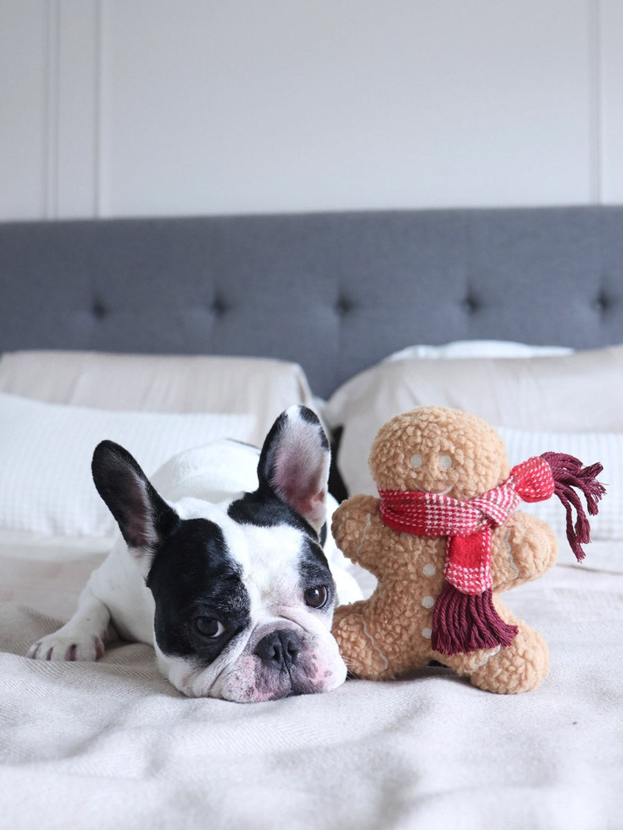 Lambwolf-Collective-peluche-chien-interactive-design-pain-epice