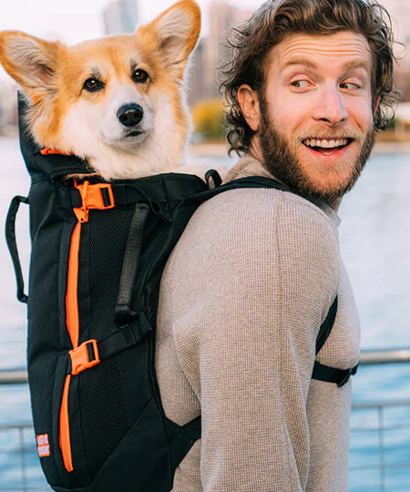 Little-Chonk-Sac-de-transport-pour-chien-maxine-one