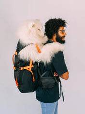 Little-Chonk-Sac-de-transport-pour-grand-chien-brodie-one