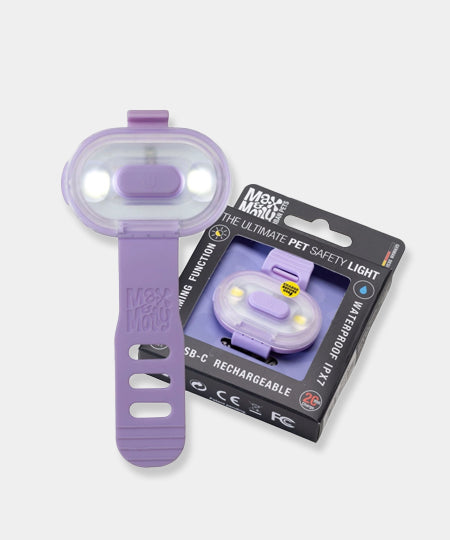 Max-Molly-lumiere-securite-visibilite-pour-chien-lavende