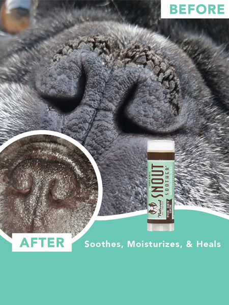 Natural-dog-company-soin-naturel-pour-chien-baume-reparateur-truffe