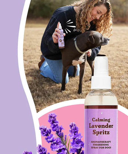 Natural-dog-company-soin-naturel-pour-chien-spray-lotion-calmant-lavende