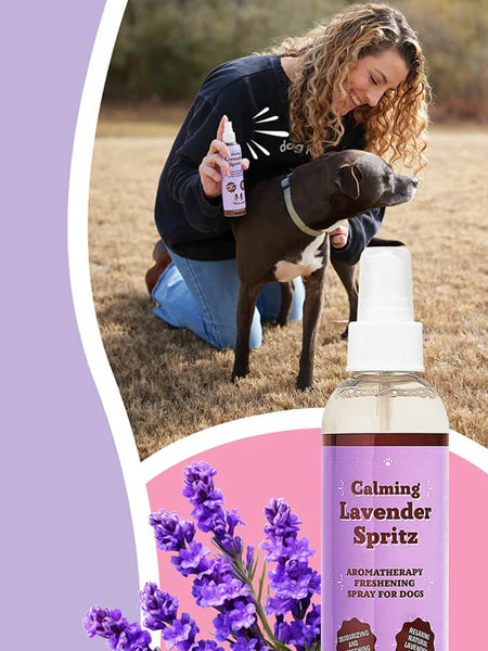 Natural-dog-company-soin-naturel-pour-chien-spray-lotion-calmant-lavende
