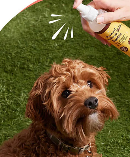 Natural-dog-company-soin-naturel-pour-chien-spray-lotion-sensible-avoine