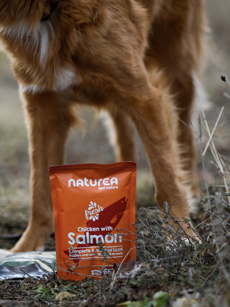 Naturea-patee-naturelle-pour-chien-saumon