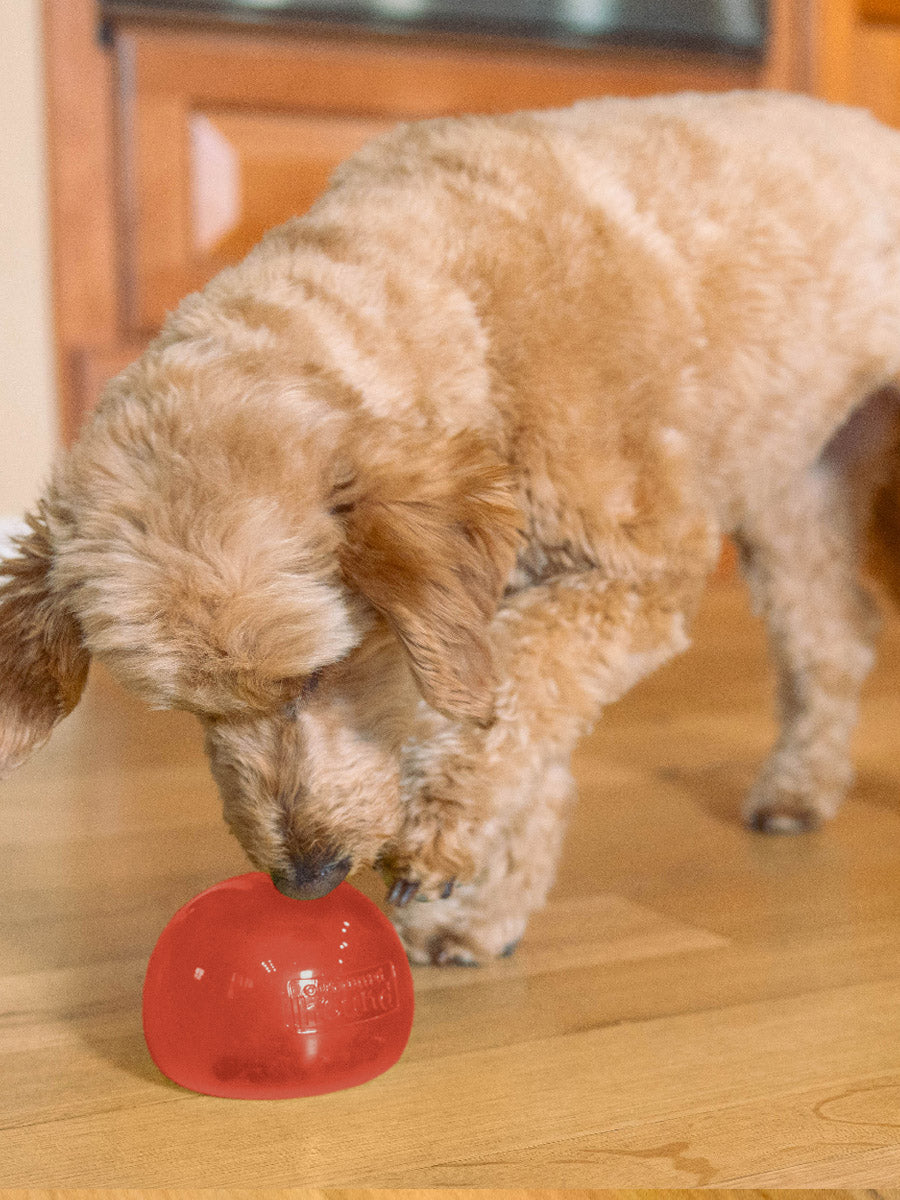 Outward-Hound-jouet-enrichissement-occupation-pour-chien-snoop-rouge