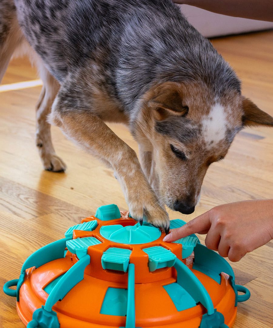 Outward-Hound-jouet-enrichissement-occupation-pour-chien-tower-of-treat