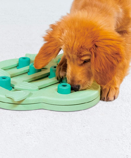     Outward-hound-jouet-interactif-puzzle-pour-chiot-puppy-hide-n-slide