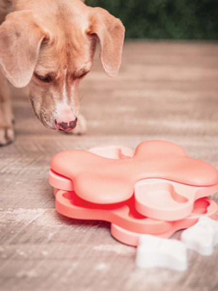 Jouet interactif / puzzle pour chiot - Puppy Tornado - Nina Ottosson - inooko