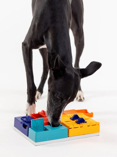 Pawzler-jeu-de-fouille-puzzle-pour-chien-genius