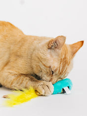 Pet-play-jouet-peluche-chat-Feline-Frenzy-Pop-Fizz-Meow
