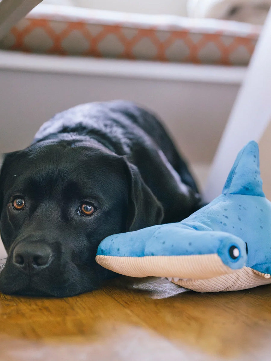 Pet-play-jouet-peluche-chien-Ocean-Buddies-requin-marteau