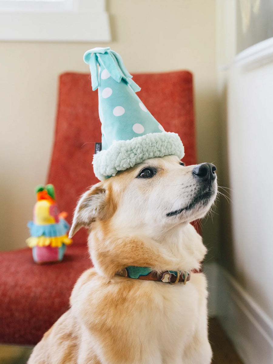 Pet-play-jouet-peluche-chien-Party-Animals-chapeau-anniversaire