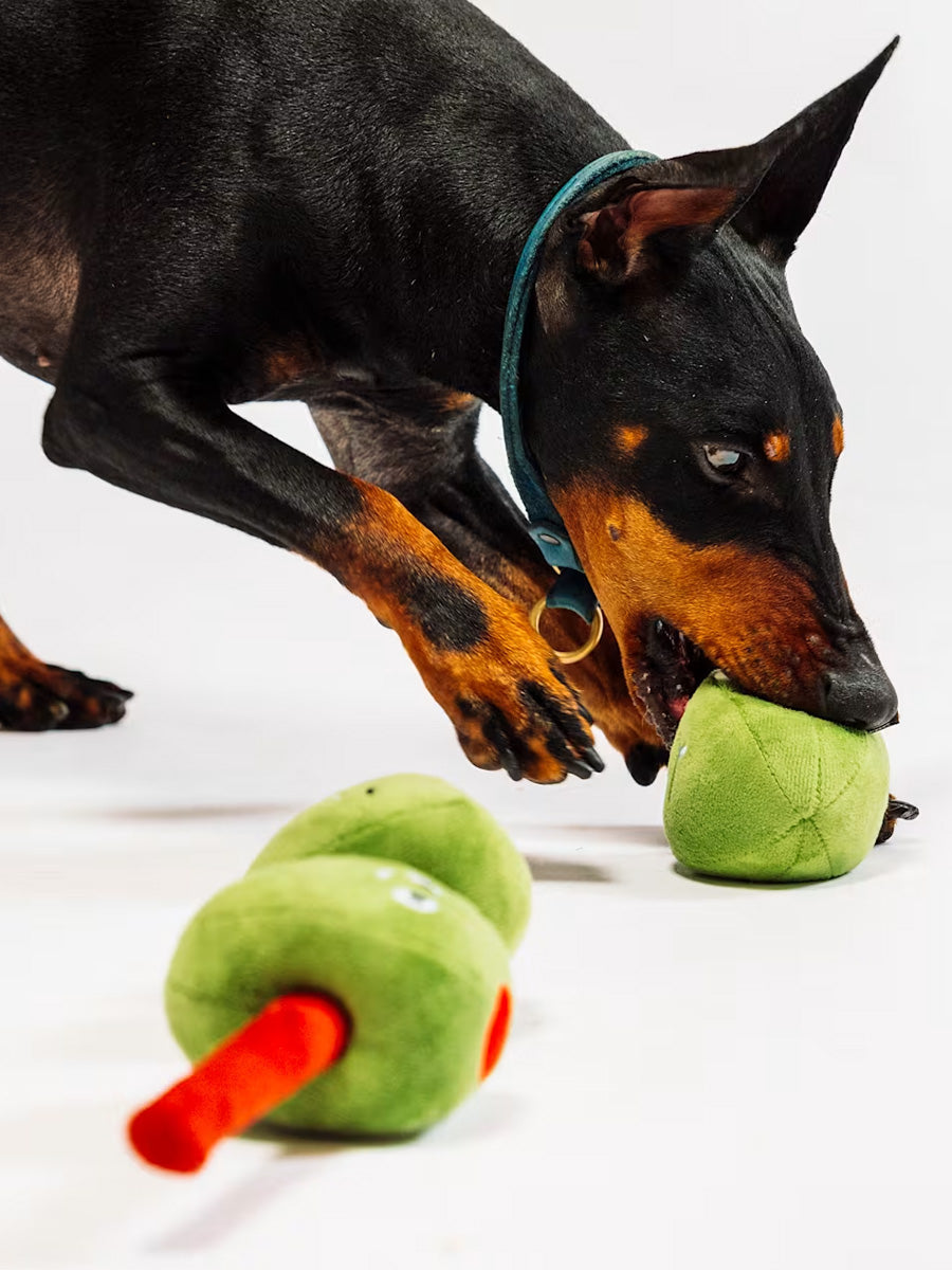 Pet-play-jouet-peluche-chien-Wine-Bar-olives