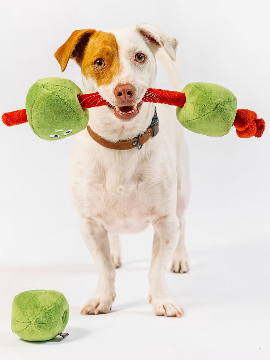 Pet-play-jouet-peluche-chien-Wine-Bar-olives