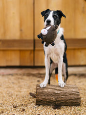 Pet-play-jouet-peluche-chien-balle-a-picot-Barnyard-Buddies-cheval-1