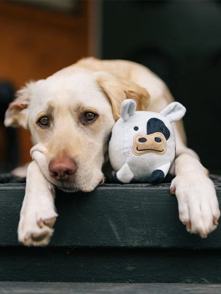 Pet-play-jouet-peluche-chien-balle-a-picot-Barnyard-Buddies-vache