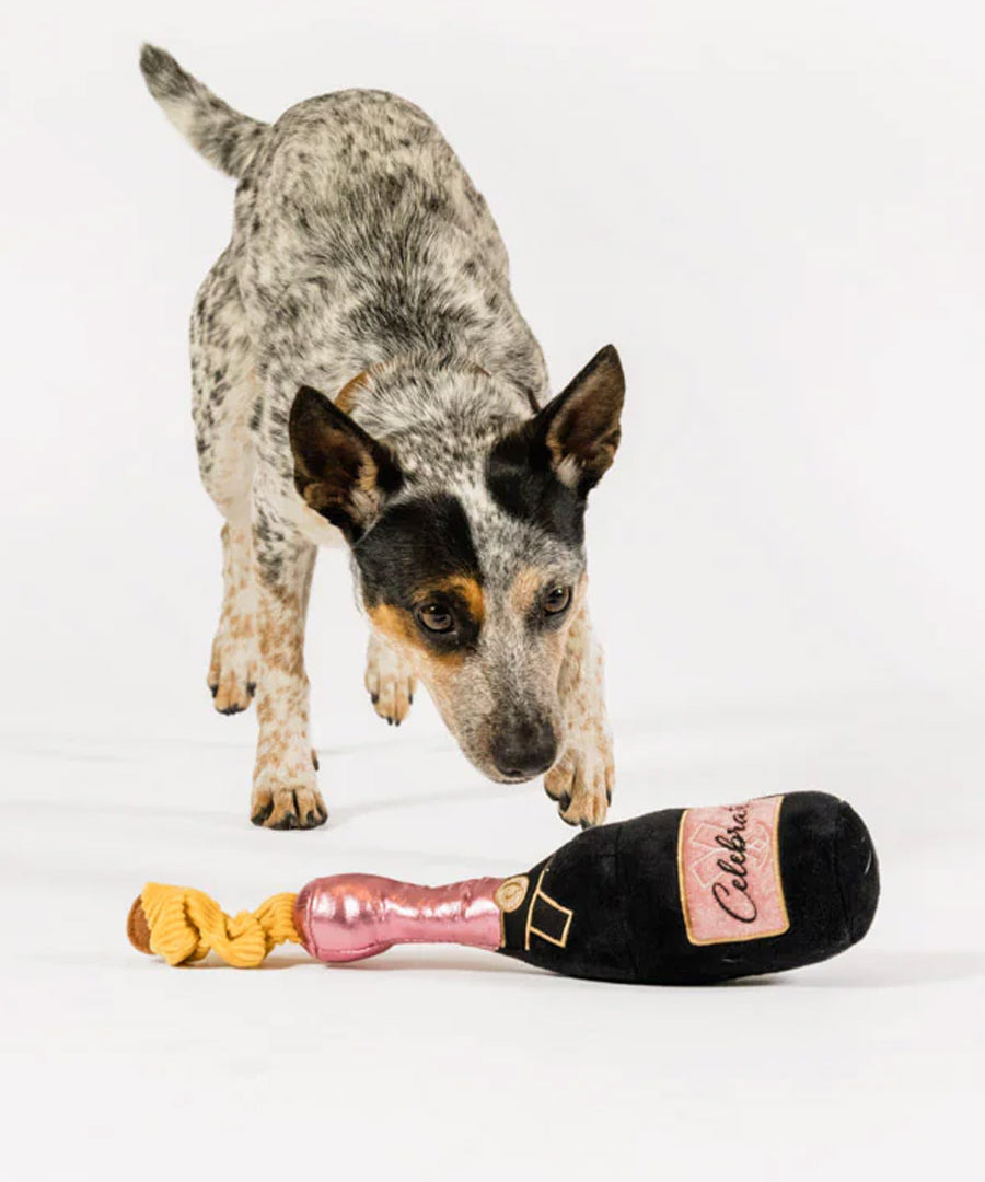 Pet-play-jouet-peluche-chien-bouteille-champagne-celebrate