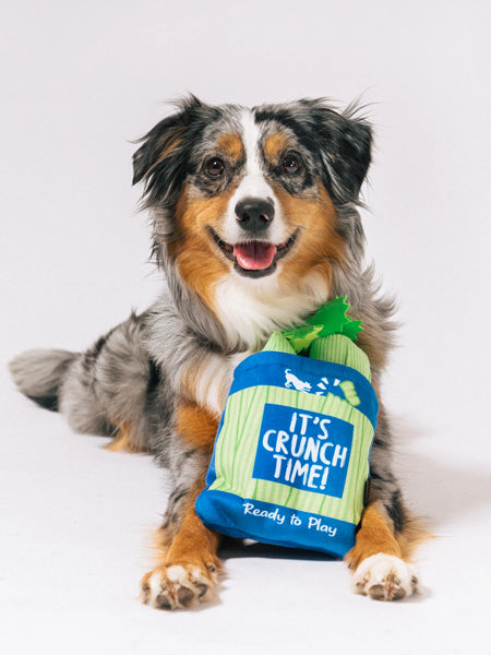 Pet-play-jouet-peluche-chien-farm-fresh-celeri