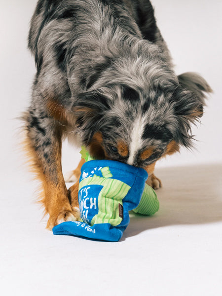 Pet-play-jouet-peluche-chien-farm-fresh-celeri