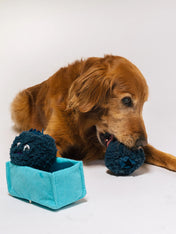 Pet-play-jouet-peluche-chien-farm-fresh-myrtille