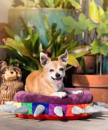 Pet-play-lit-couchage-pour-chien-spike