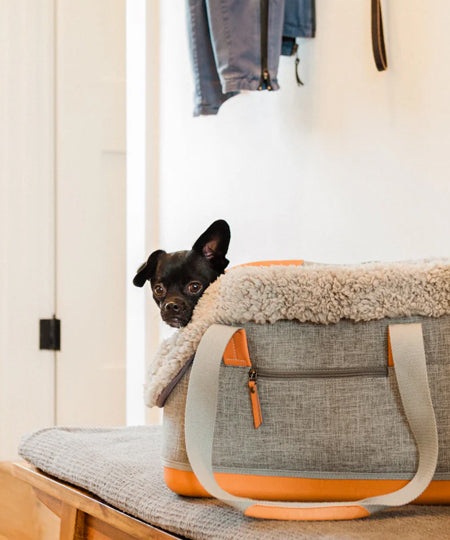 Pet-play-sac-de-transport-chien-LeftPine-pet-P.L.A.Y.-Deluxe-Dog-Carrier-gris