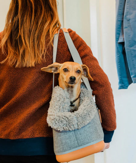 Pet-play-sac-de-transport-chien-LeftPine-pet-P.L.A.Y.-Deluxe-Dog-Carrier-gris