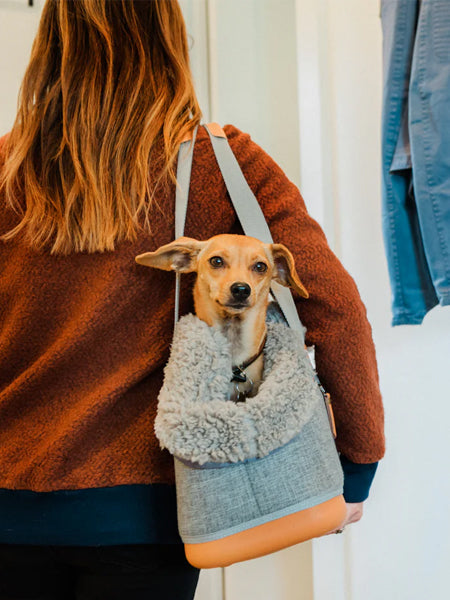 Pet-play-sac-de-transport-chien-LeftPine-pet-P.L.A.Y.-Deluxe-Dog-Carrier-gris