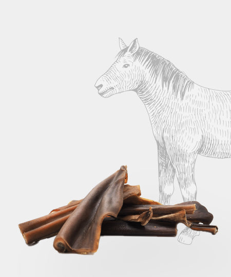 Pets-best-friandises-pour-chien-premium-peau-de-cheval