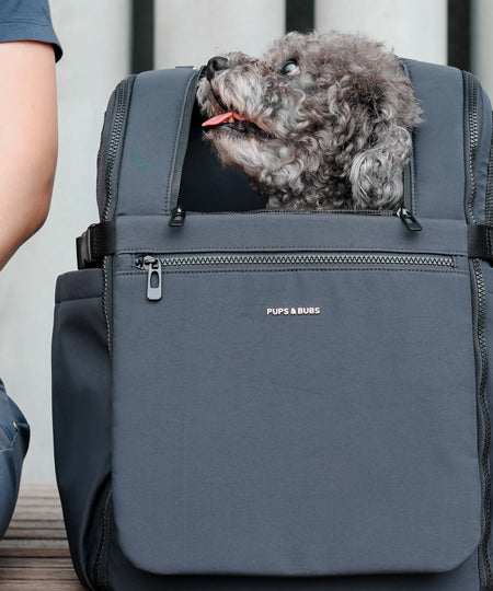 Pups-Bubs-Sac-a-dos-de-transport-pour-chien