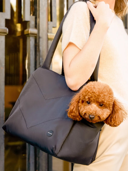 Pups-Bubs-Sac-de-transport-pour-chien-Destination-noir