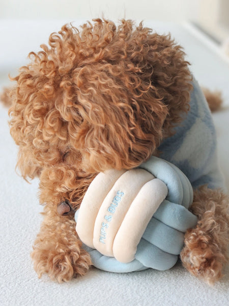 Pups-Bubs-peluche-balle-de-fouille-pour-chien