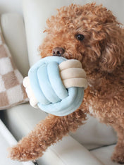 Pups-Bubs-peluche-balle-de-fouille-pour-chien
