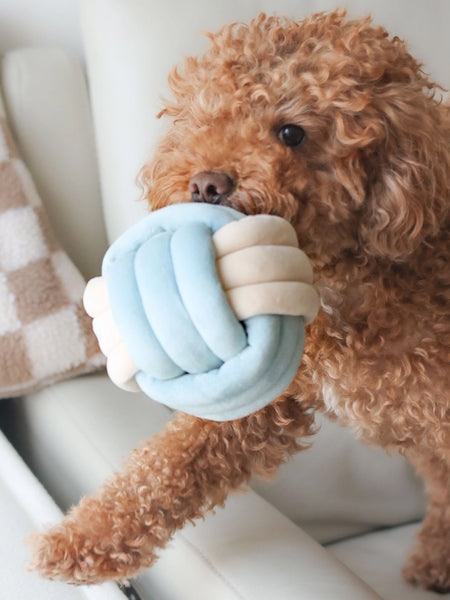 Pups-Bubs-peluche-balle-de-fouille-pour-chien