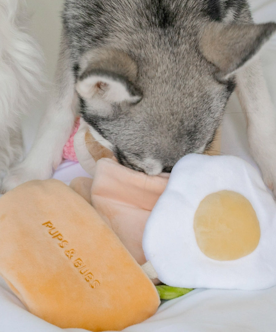 Pups-Bubs-peluche-fouille-pour-chien-2025-pita