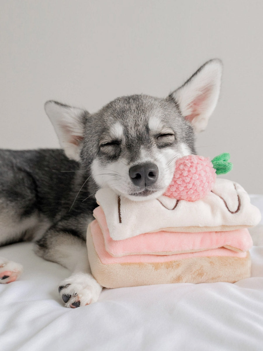 Pups-Bubs-peluche-fouille-pour-chien-Mille-Feuille-fraise