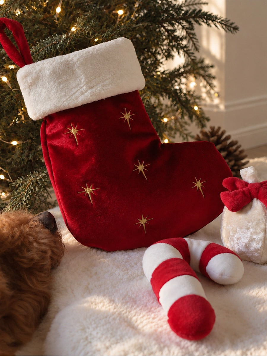 Pups-Bubs-peluche-fouille-pour-chien-chaussette-noel-Holiday-Stocking-Nosework