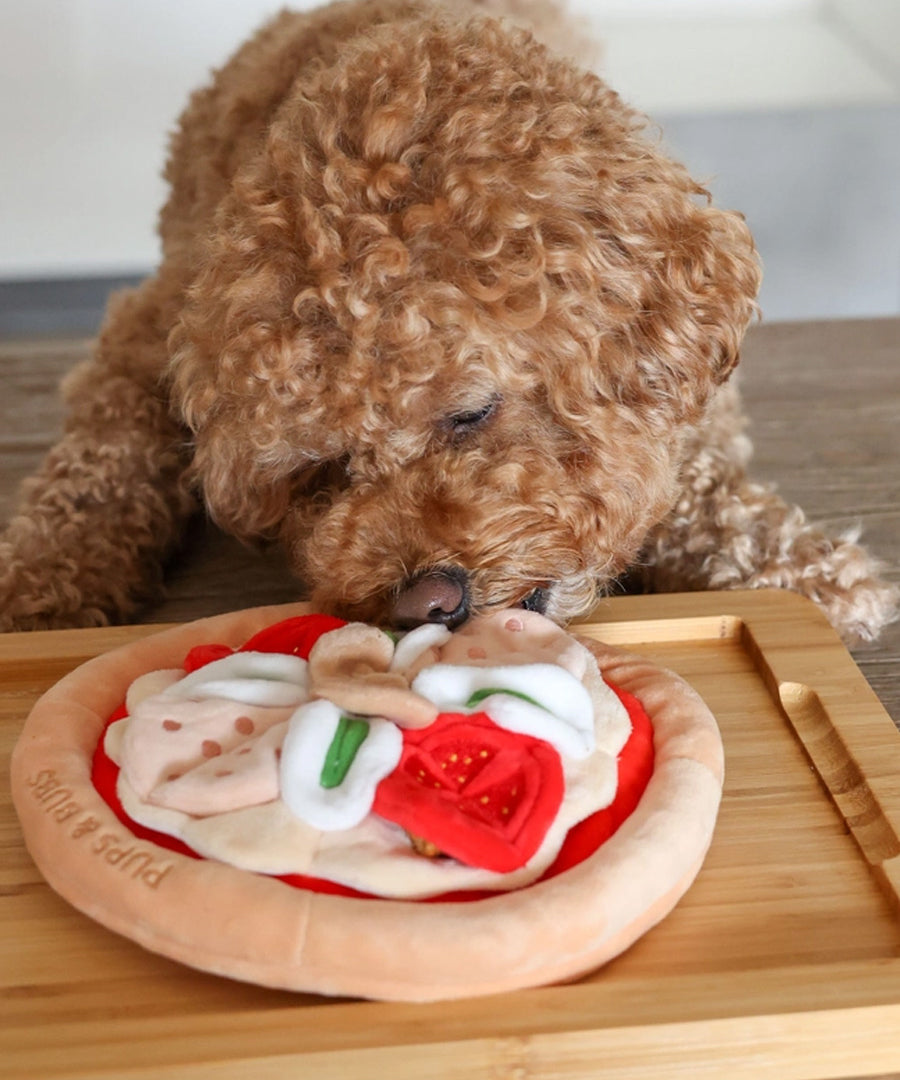 Pups-Bubs-peluche-fouille-pour-chien-pizza