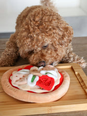 Pups-Bubs-peluche-fouille-pour-chien-pizza